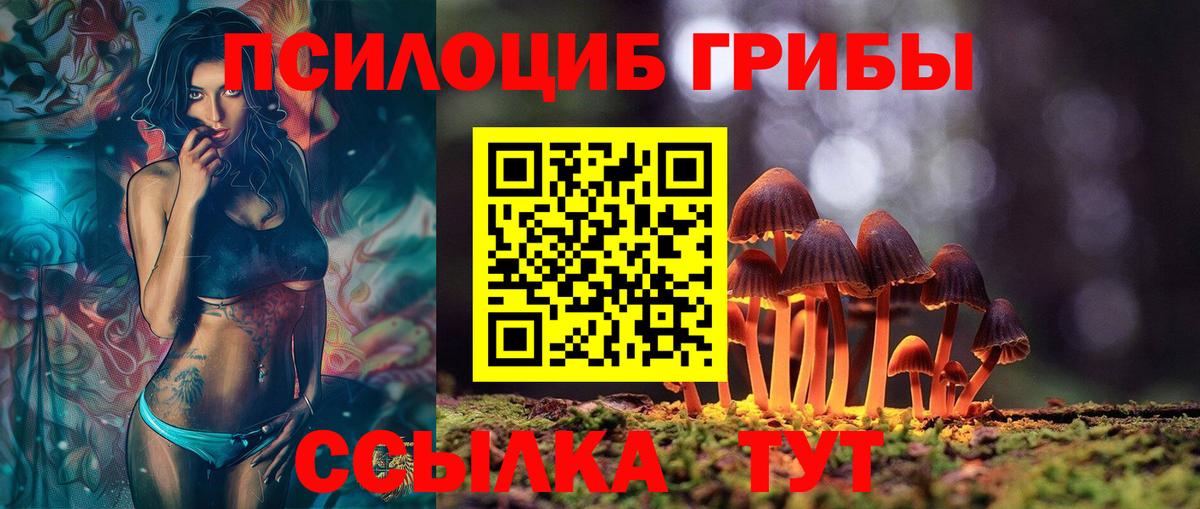 Галлюциногенные грибы Psilocybe Кемерово