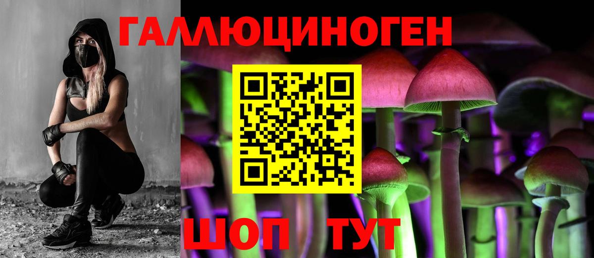 Кемерово  где найти наркотики  Галлюциногенные грибы ЛСД  Вход с VPN  Галлюциногенные грибы GOLDEN TEACHER 